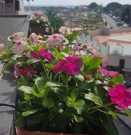 B&B La Costa Di Naxos Giardini Naxos Dış mekan fotoğraf